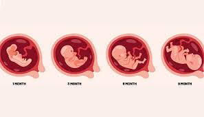 antenatal care for IVF pregnancy in Noida 